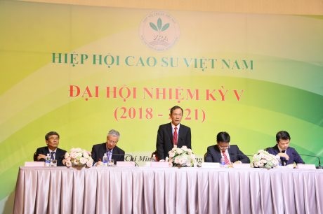 Ông Trần Ngọc Thuận tái đắc cử Chủ tịch Hiệp hội Cao su VN